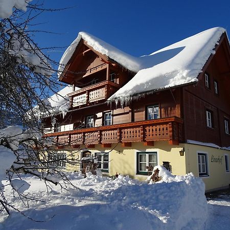 Linarhof Apartment Urlaub Am Bio Bauernhof Гаус-ім-Енншталь Екстер'єр фото