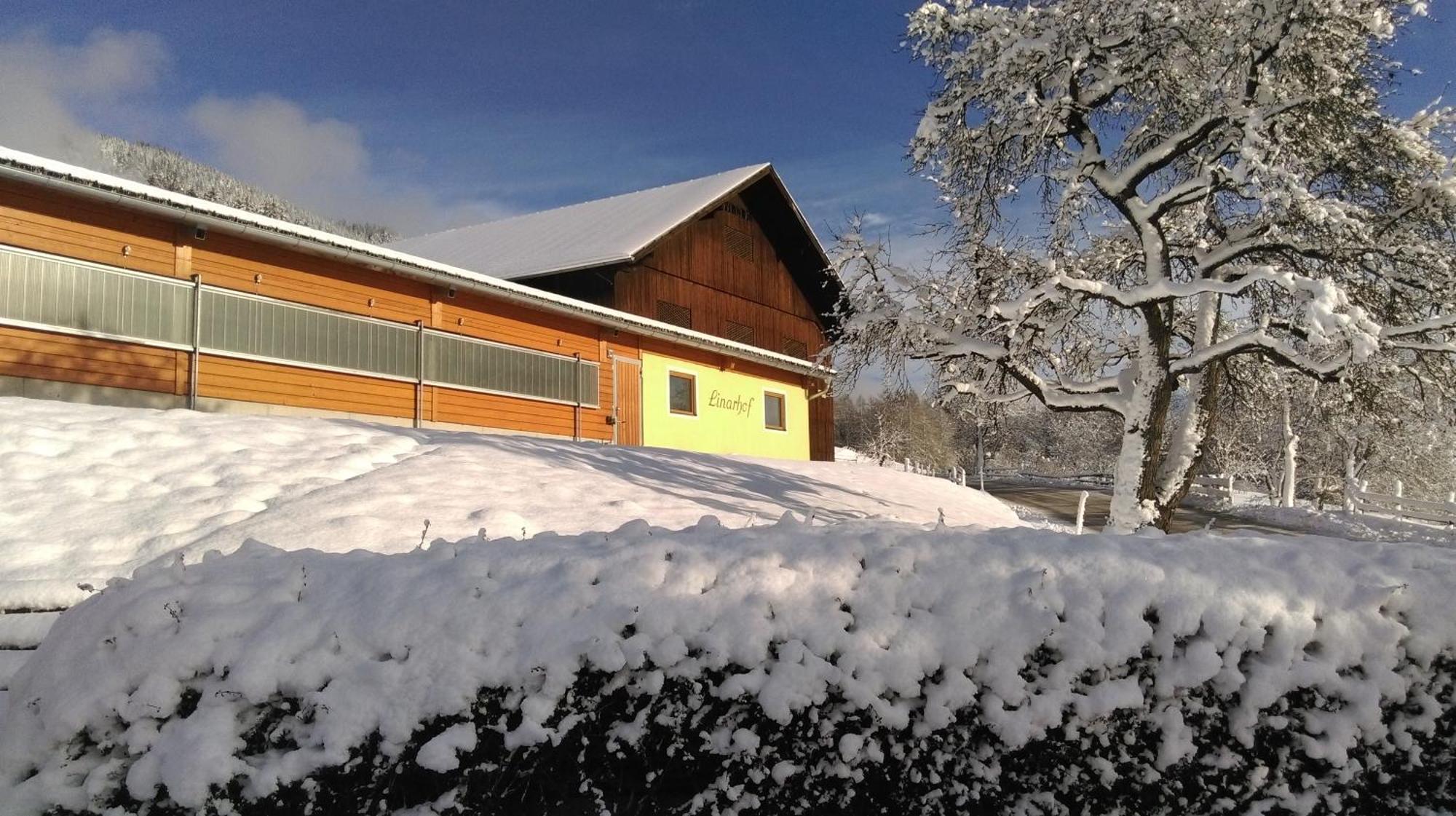 Linarhof Apartment Urlaub Am Bio Bauernhof Гаус-ім-Енншталь Екстер'єр фото