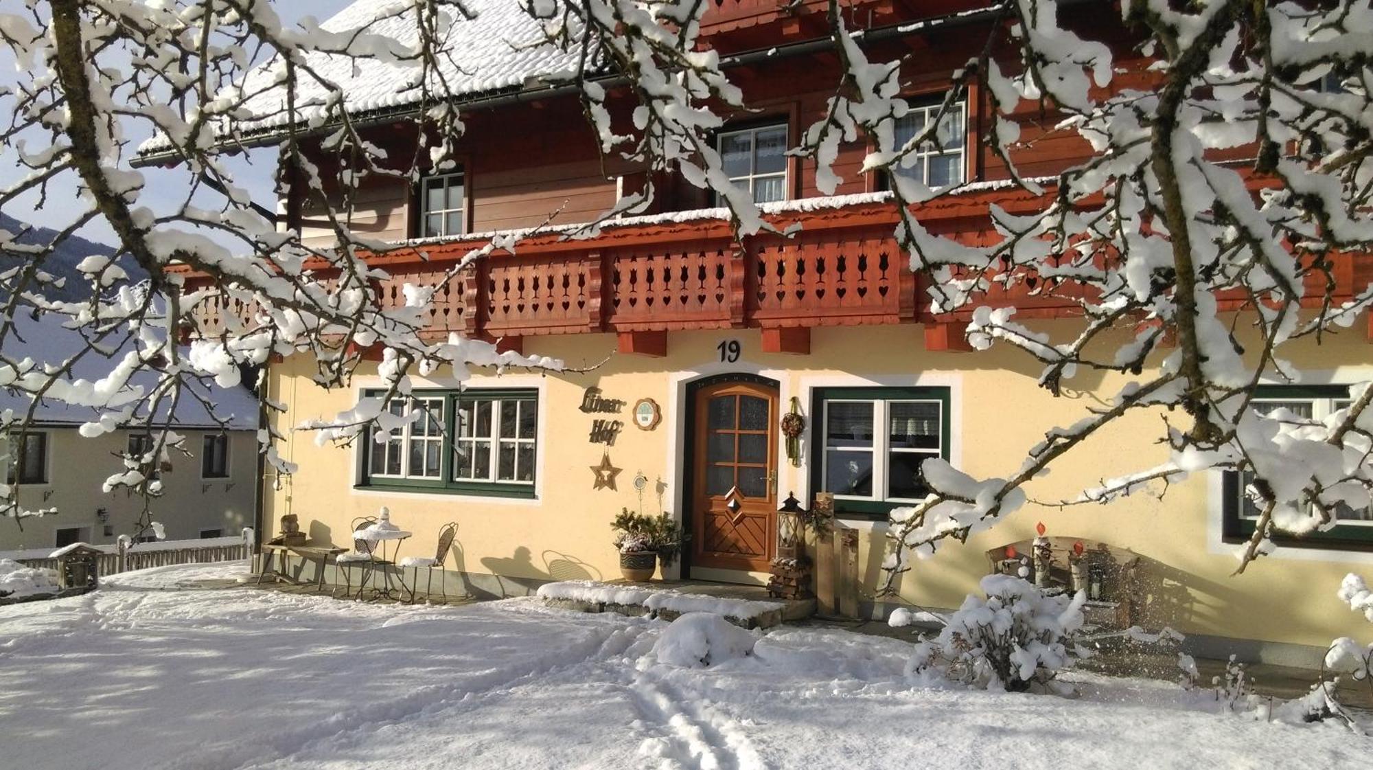 Linarhof Apartment Urlaub Am Bio Bauernhof Гаус-ім-Енншталь Екстер'єр фото