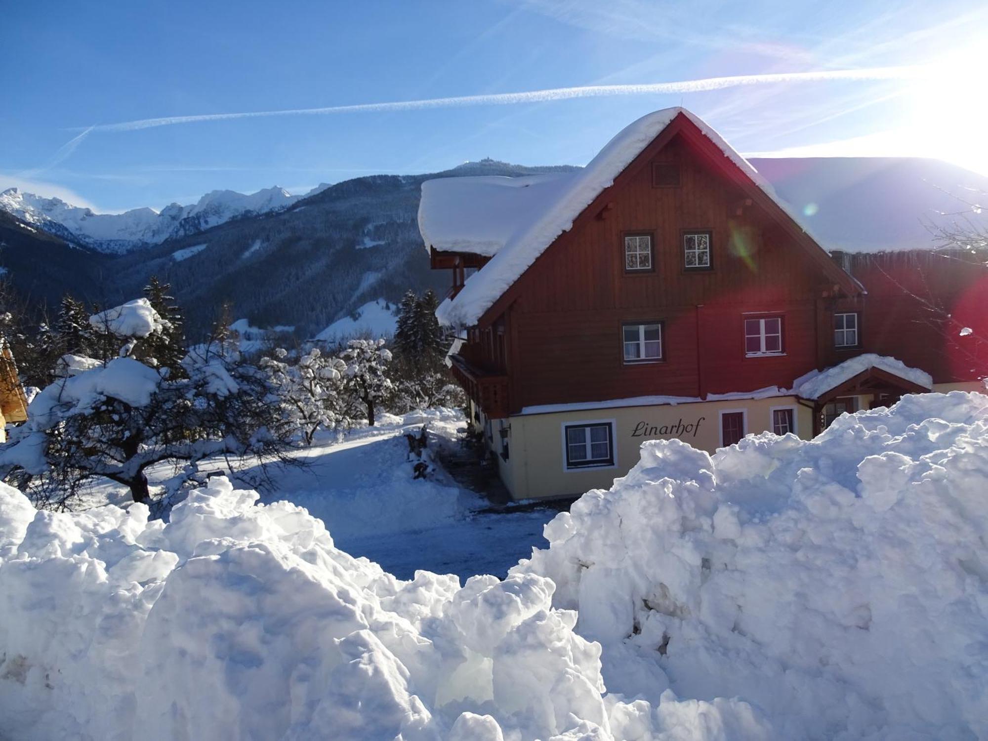 Linarhof Apartment Urlaub Am Bio Bauernhof Гаус-ім-Енншталь Екстер'єр фото