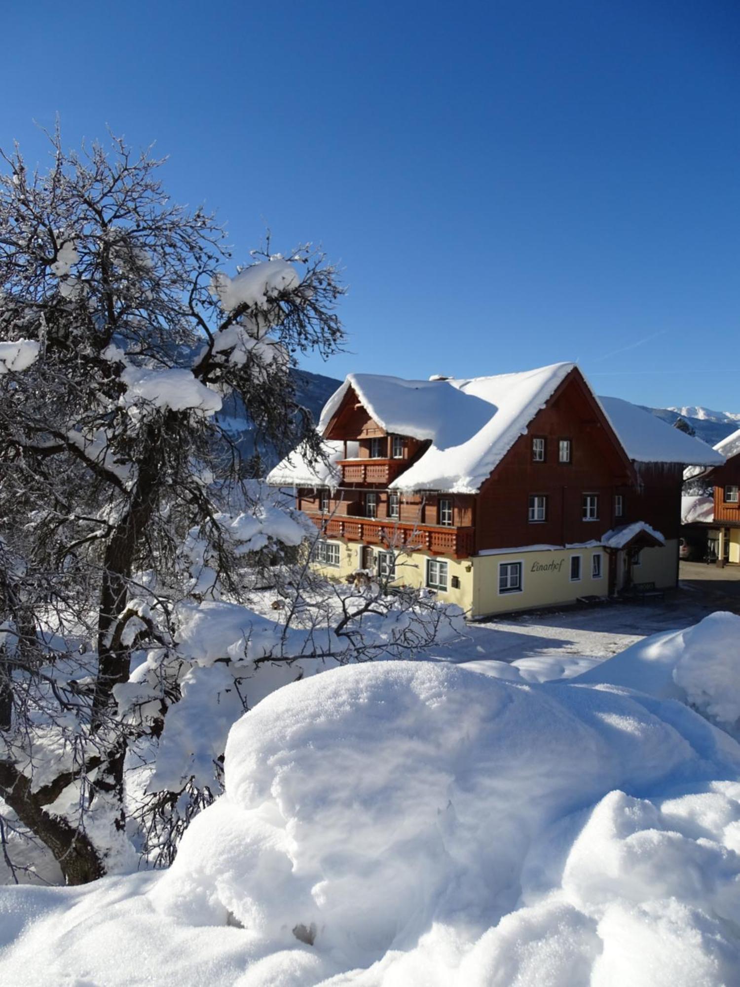 Linarhof Apartment Urlaub Am Bio Bauernhof Гаус-ім-Енншталь Екстер'єр фото