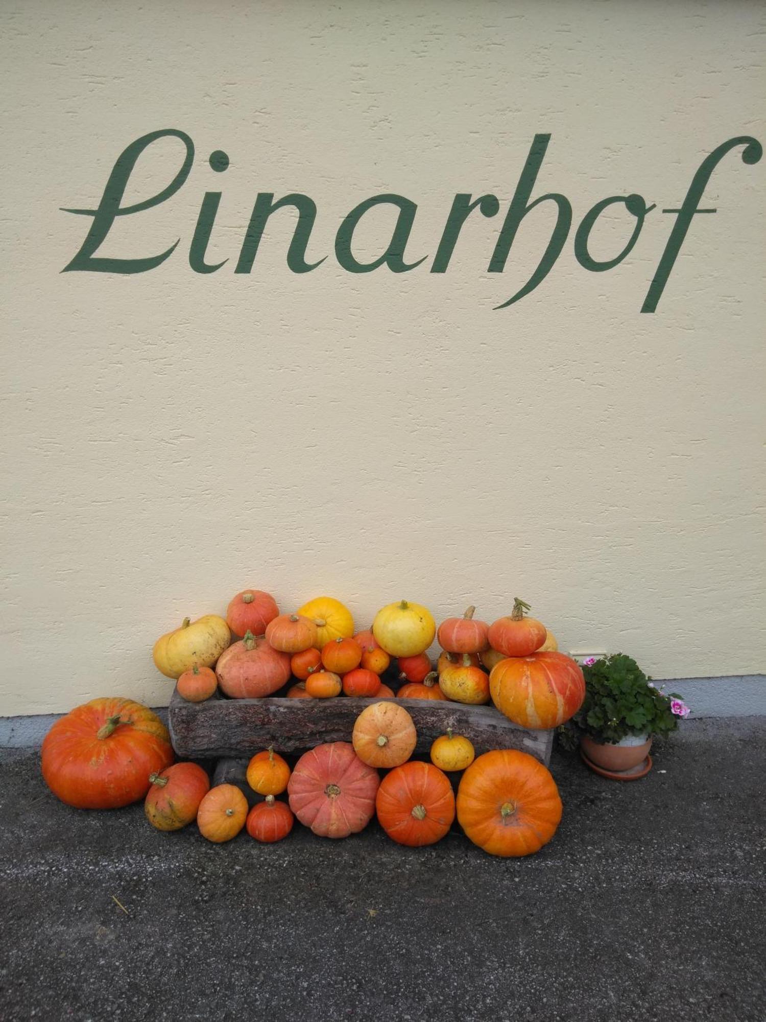 Linarhof Apartment Urlaub Am Bio Bauernhof Гаус-ім-Енншталь Екстер'єр фото