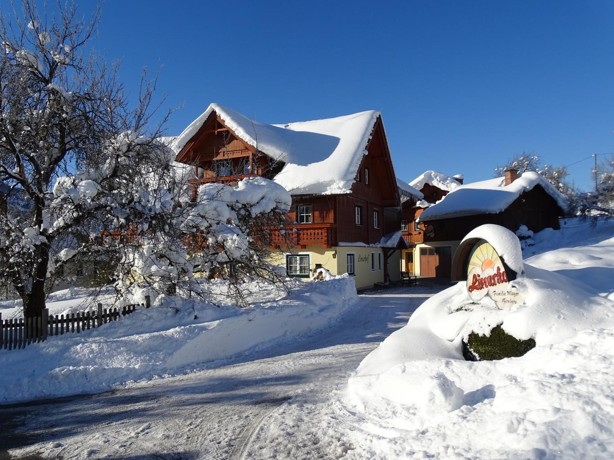 Linarhof Apartment Urlaub Am Bio Bauernhof Гаус-ім-Енншталь Екстер'єр фото