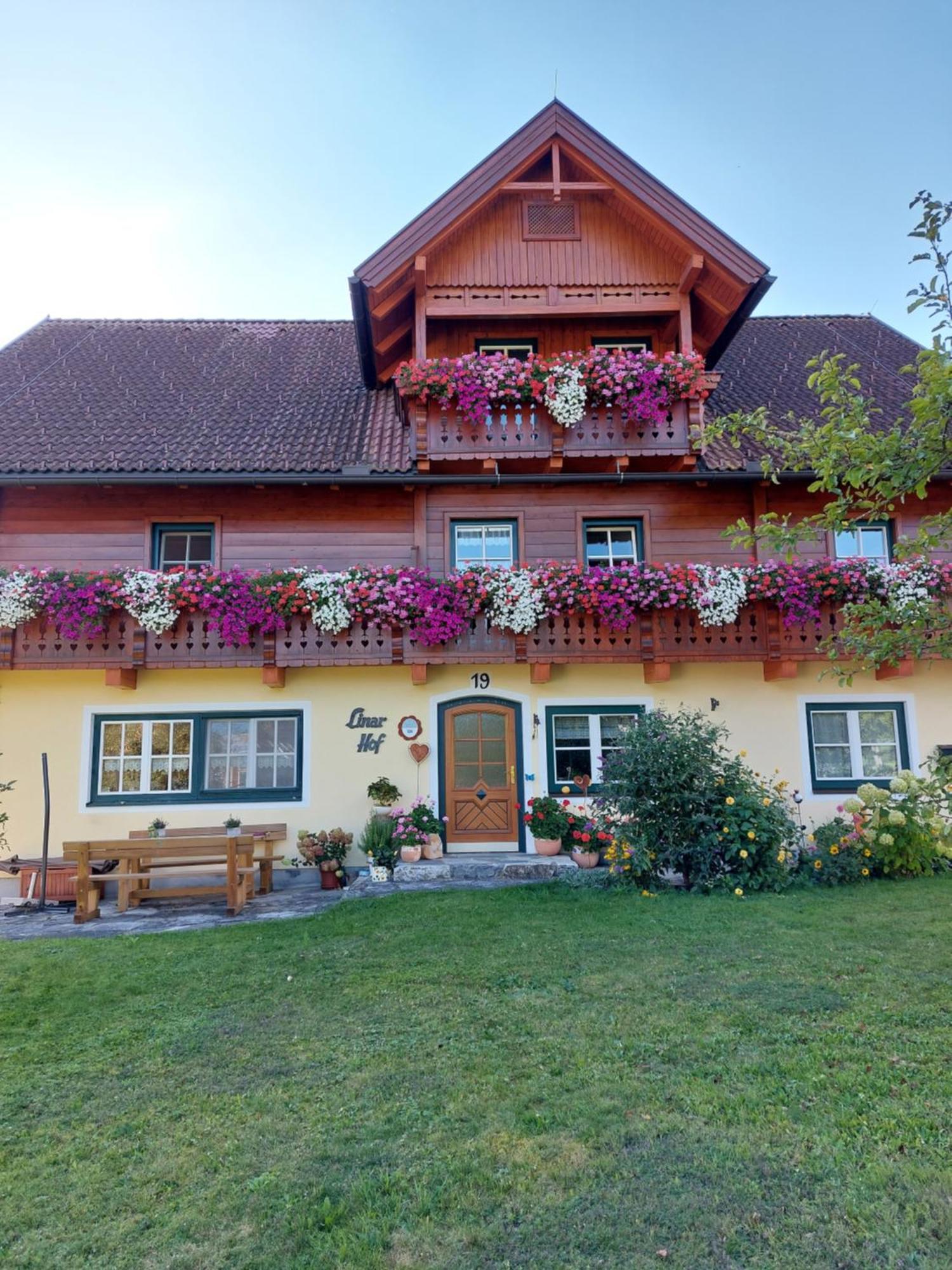Linarhof Apartment Urlaub Am Bio Bauernhof Гаус-ім-Енншталь Екстер'єр фото