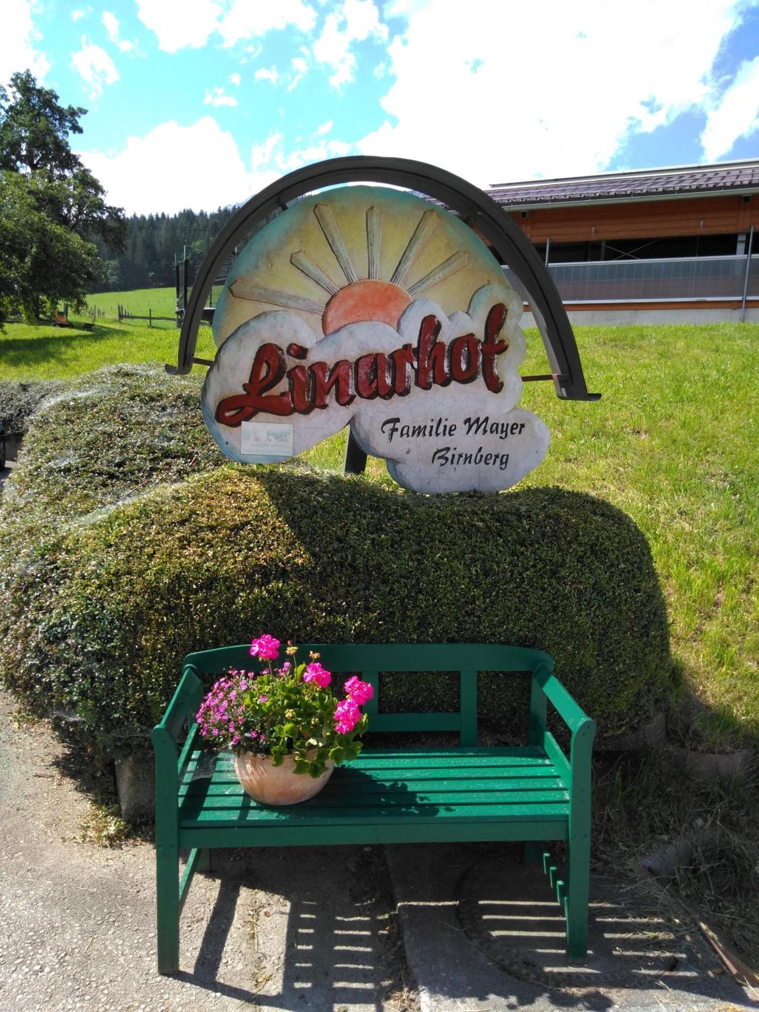 Linarhof Apartment Urlaub Am Bio Bauernhof Гаус-ім-Енншталь Екстер'єр фото